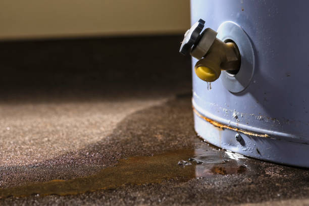 Best Sewage cleanup and water damage restoration  in Bratenahl, OH