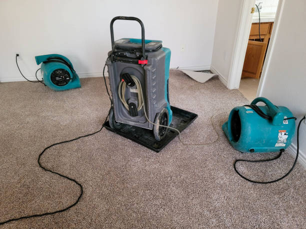 Best Ceiling water damage repair  in Bratenahl, OH