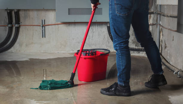 Best Basement water damage restoration  in Bratenahl, OH