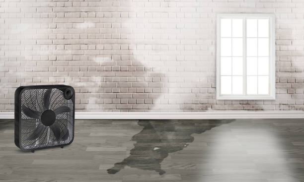 Local water damage restoration in Bratenahl, OH