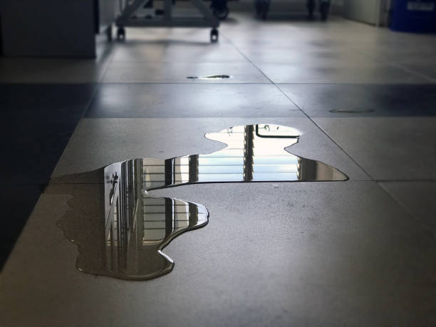 Best 24-hour water damage restoration  in Bratenahl, OH
