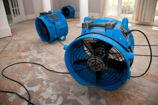 Best Water damage restoration near me  in Bratenahl, OH