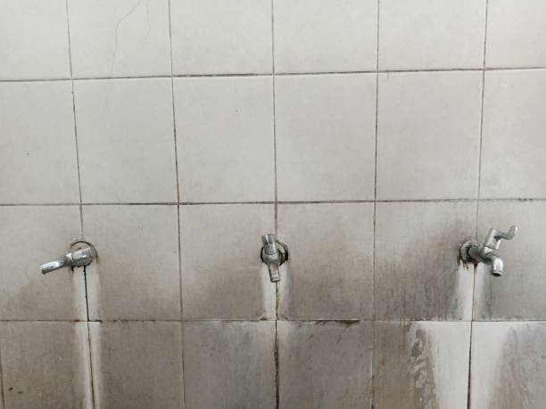 Best Residential water damage restoration  in Bratenahl, OH