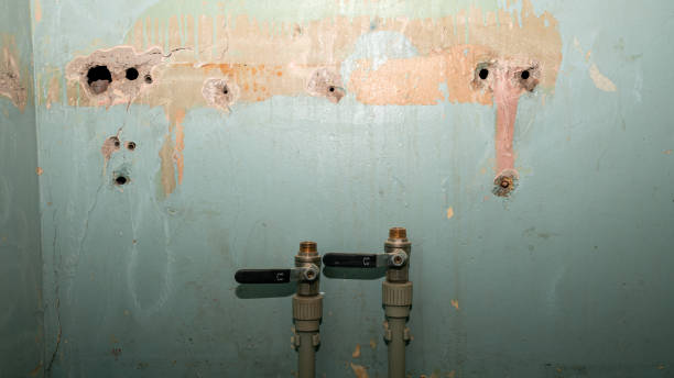 Best Emergency water damage restoration  in Bratenahl, OH