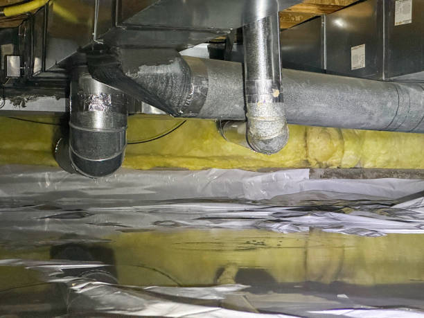 Best Carpet water damage restoration  in Bratenahl, OH