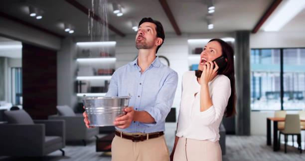 Best Mold removal after water damage  in Bratenahl, OH